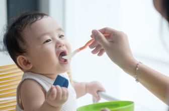 5 Best Baby Led Weaning Books in 2023